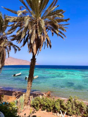 ايارو نوب-iaru nub
